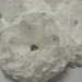 Clearance 6 Crepe Paper Blossoms White with Silver Glitter