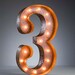 Vintage Marquee Lights - Ready to Ship - Number 3