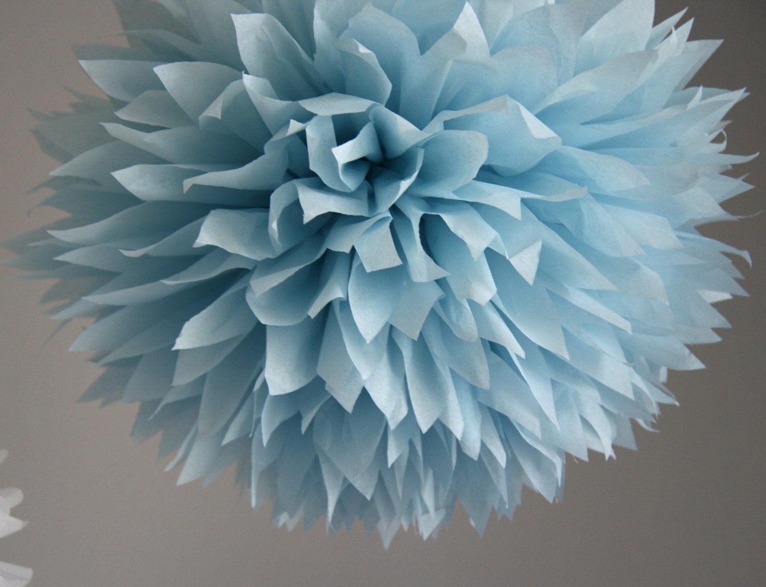 Ash blue - one pom
