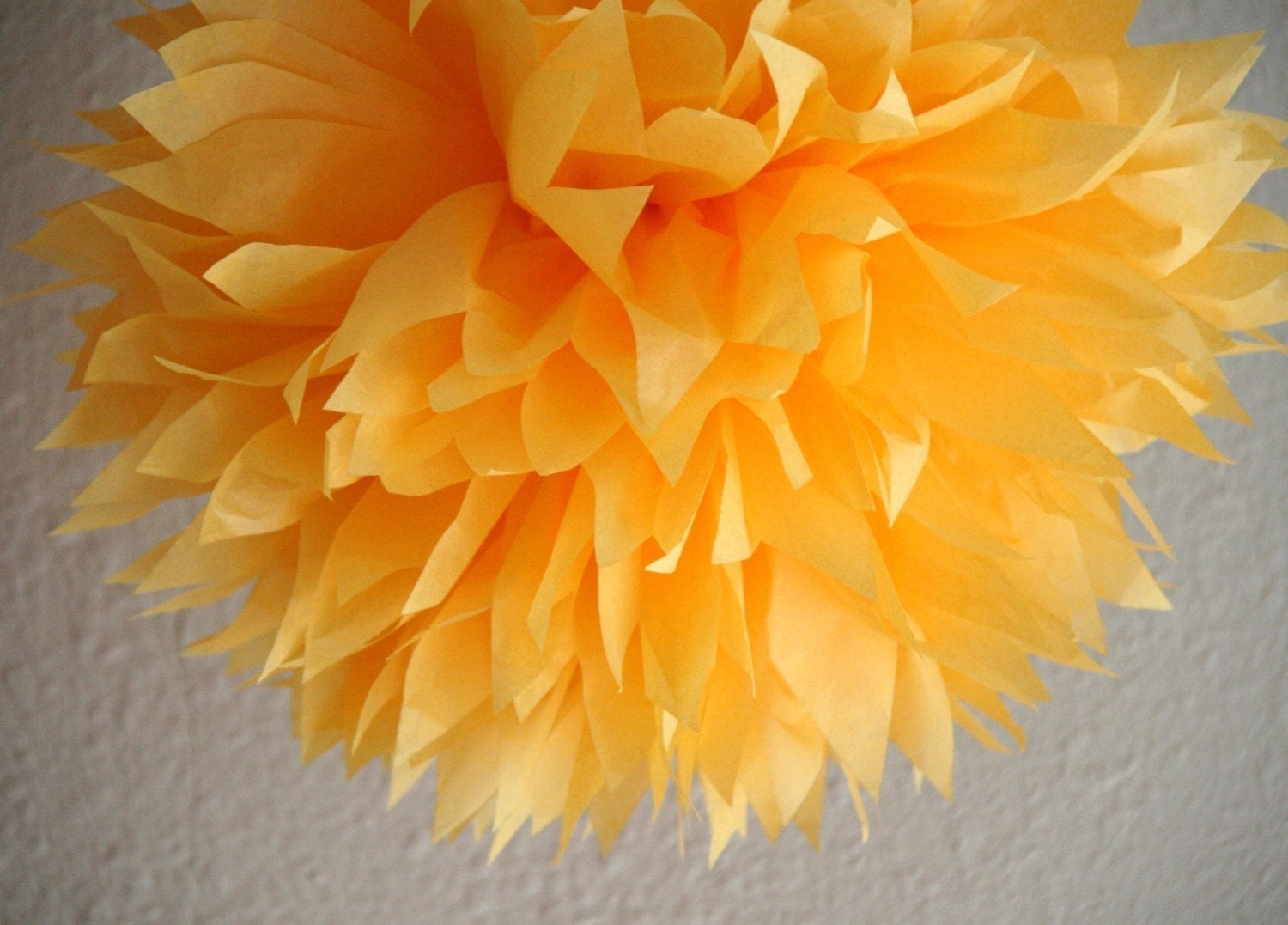 Goldenrod - one pom