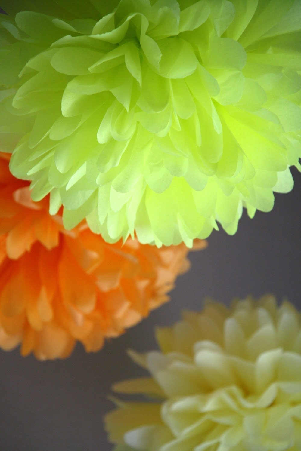 Custom Colors .. 3 Tissue Pom Poms Tissue Pom Pom .. Wedding Decoration / Bridal Shower / Birthday / Baptism / Party Decoration