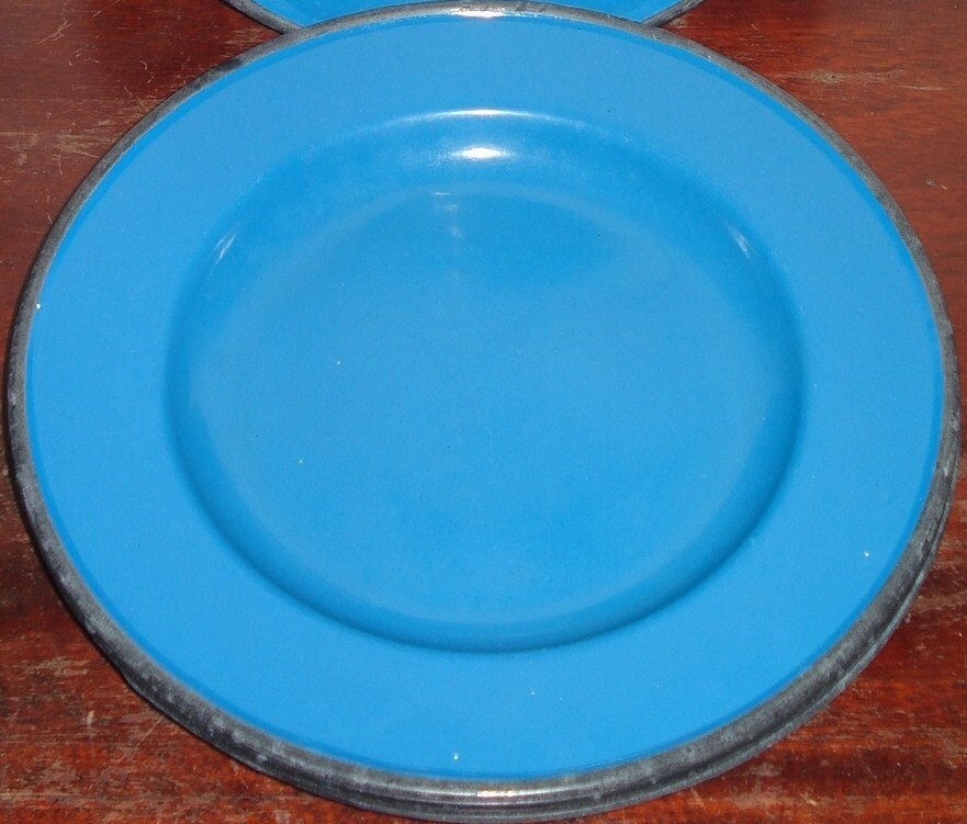 Blue Plate Special Vintage Metal Enamel Plates