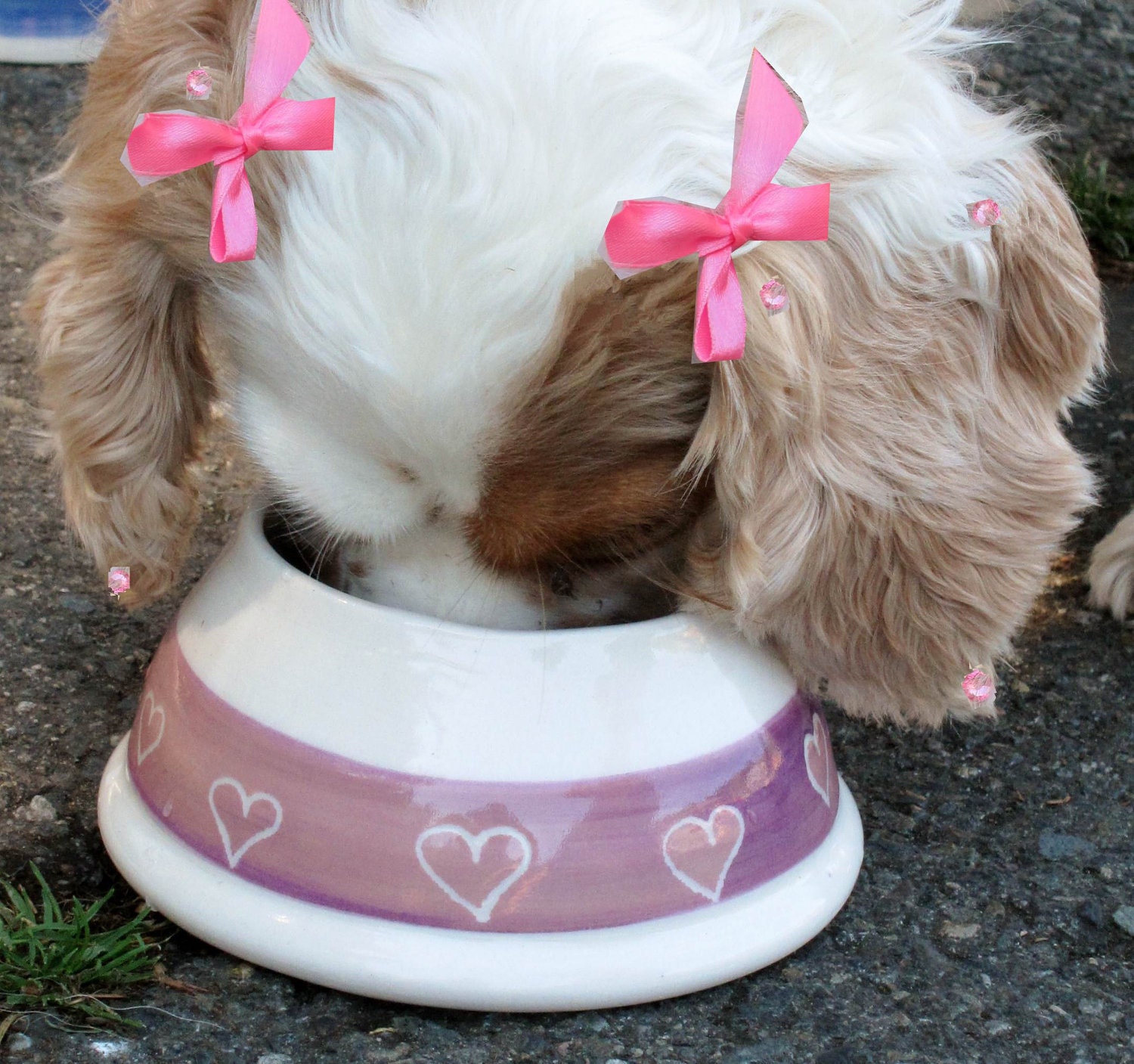Items similar to cocker spaniel long ear dog bowl handmade ceramic on Etsy