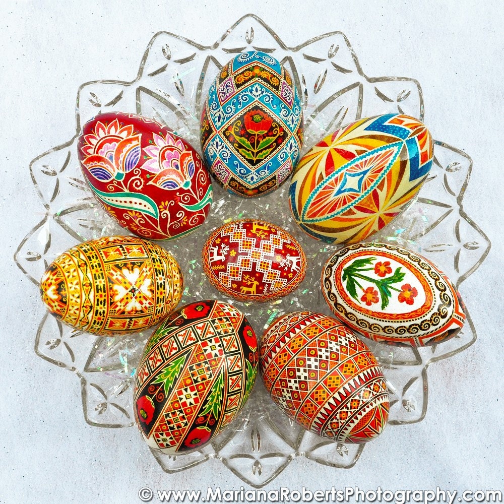 Real Traditional Ukrainian Easter Egg - Hand Illustrated Poppy Pysanka - Goose Egg - Help Rescue Animals - S.A.F.E