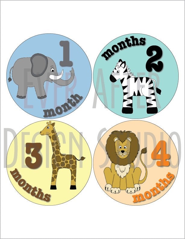Safari Animal Theme Monthly Onesie Stickers, Baby Boys, Baby Girls, Giraffe, Elephant, Zebra, Lion