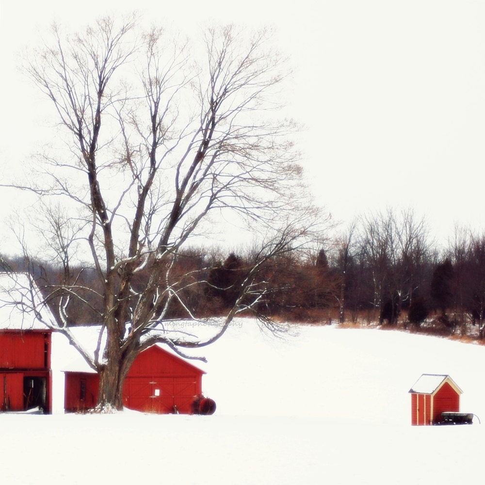 The red barn - Snow on the red barn nursery decor White Christmas First snow Nature Winter old farm house beauty Fine Art Print 5x5 - mingtaphotography
