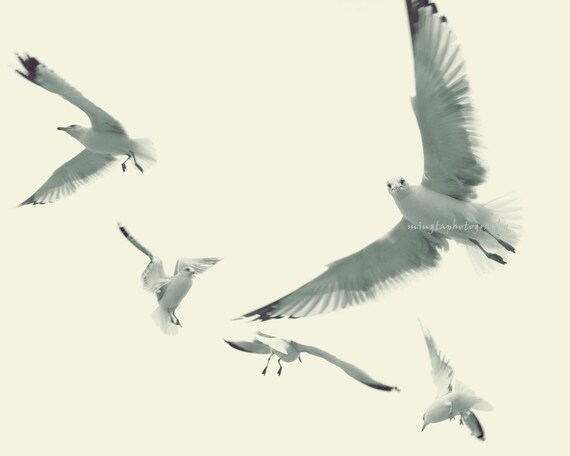 Welcome to the Ocean - Seagull in flight Big ocean seashore breeze fly with me in flight wall decor wall art Beach house color photography