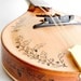 Dove sound hole Mandolin