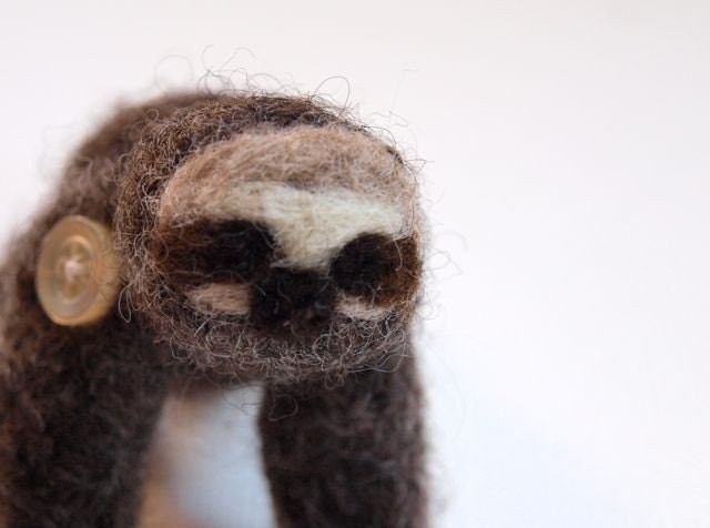 Mojave the Pocket Sloth