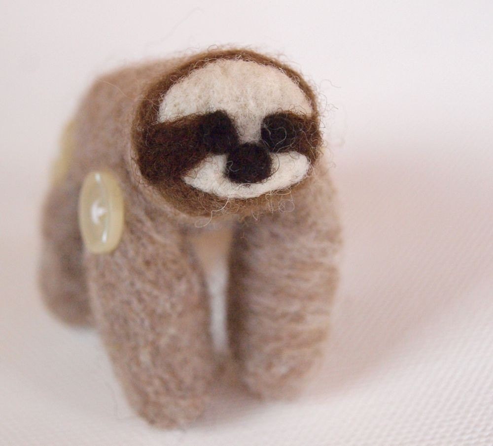 Sahara the Pocket Sloth