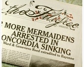 Fairy Tale Newspaper- ZINE- ISSUE 1- the Filigree