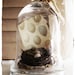 Nest Cloche with Egg Print and Tag