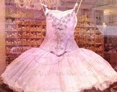 Paris Photography,  Paris Fashion Couture, Paris Pink Ballerina Dress Boutique, Paris Dress Shop, Paris In Pink Prints 8" x 12"