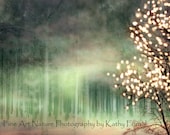 Nature Photography, Sparkling Twinkling Lights Trees, Fantasy Nature, Ethereal Green Trees, Nature Landscape Photo 8" x 12"