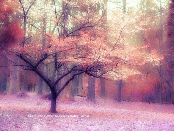 Nature Photography, Dreamy Spring Woodlands Landscape, Pink, Purple, Orange, Fine Art Fantasy Tree Nature Photo 9" x 12"