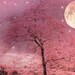 Nature Photography - Dreamy Pink Trees Stars, Moon Stars Night, Fantasy Pink Spring Nature, Fine Art Photo 8" x 12"