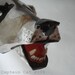 Raccoon Mask - Captain Cat Original