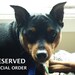Reserved Listing for Kim