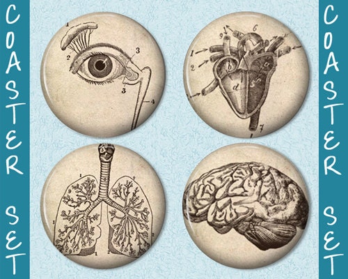 Coasters - Vintage Anatomy Illustrations Coaster Set