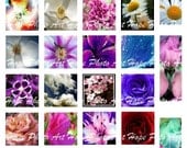Natures Gift Sampler 1.5 x 1.5 Original Fine Art Photography - tags magnets key chains glass jewelry pendants - U Print 300dpi jpg