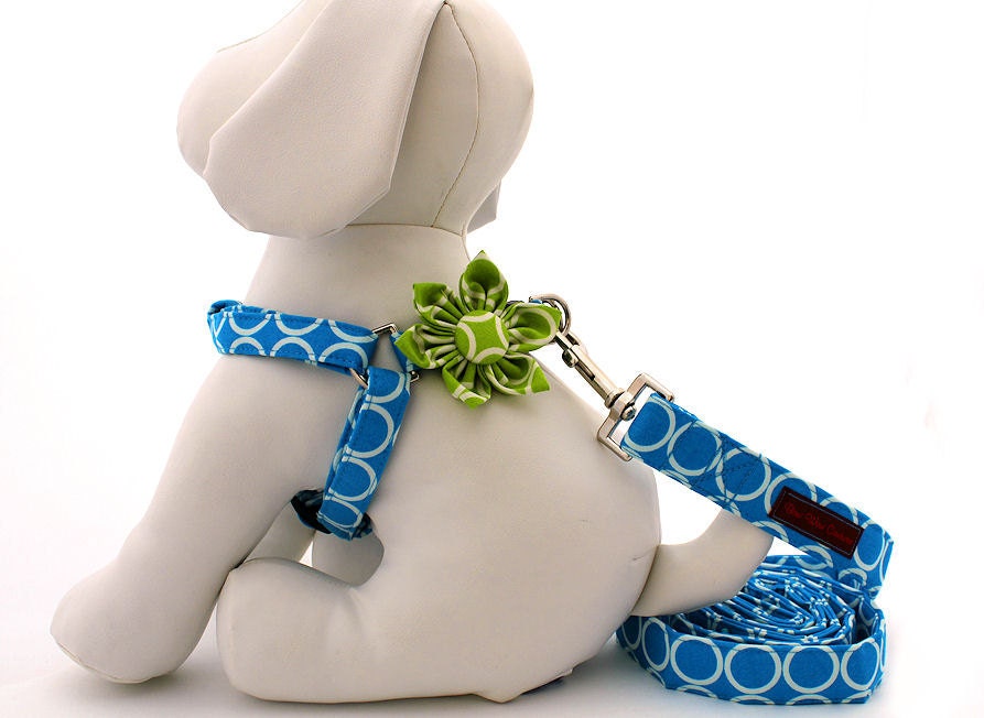 Step-In Dog Harness, Leash and Flower Set......Size XSmall......Your Choice of Any Style in the Shop