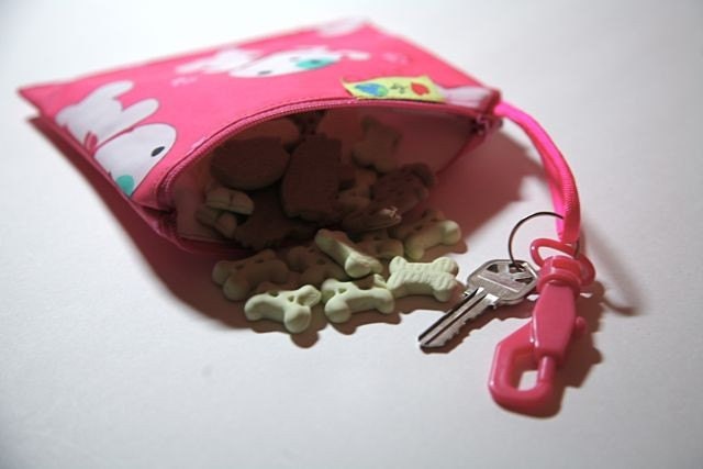 Pink reusable dog treat bag Leash bag and key ring
