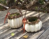 White Pumpkin Basket