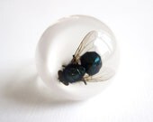 Green Bottle Fly - Resin ring - Size S