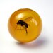 Swedish Mosquito - Resin ring - Size S