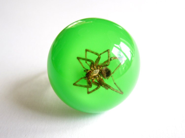 Spider - Resin ring - Size M