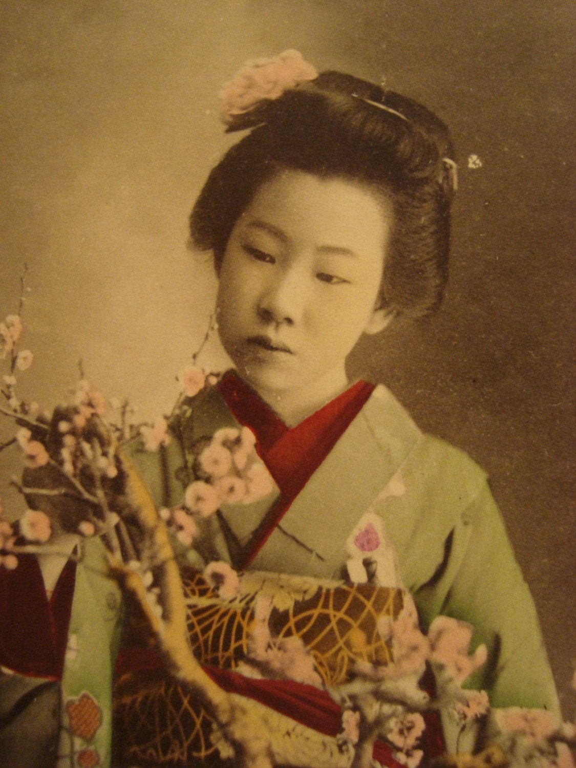 video japanese geisha ordered have some video japanese geisha ordered have some