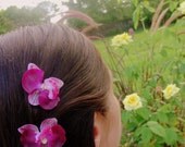 Two Burgandy Orchid Barrettes