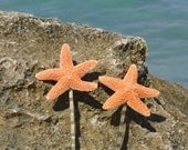 Two small sugar starfish bobby pins