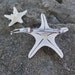 Large White Knobby Starfish Hair Barrette.