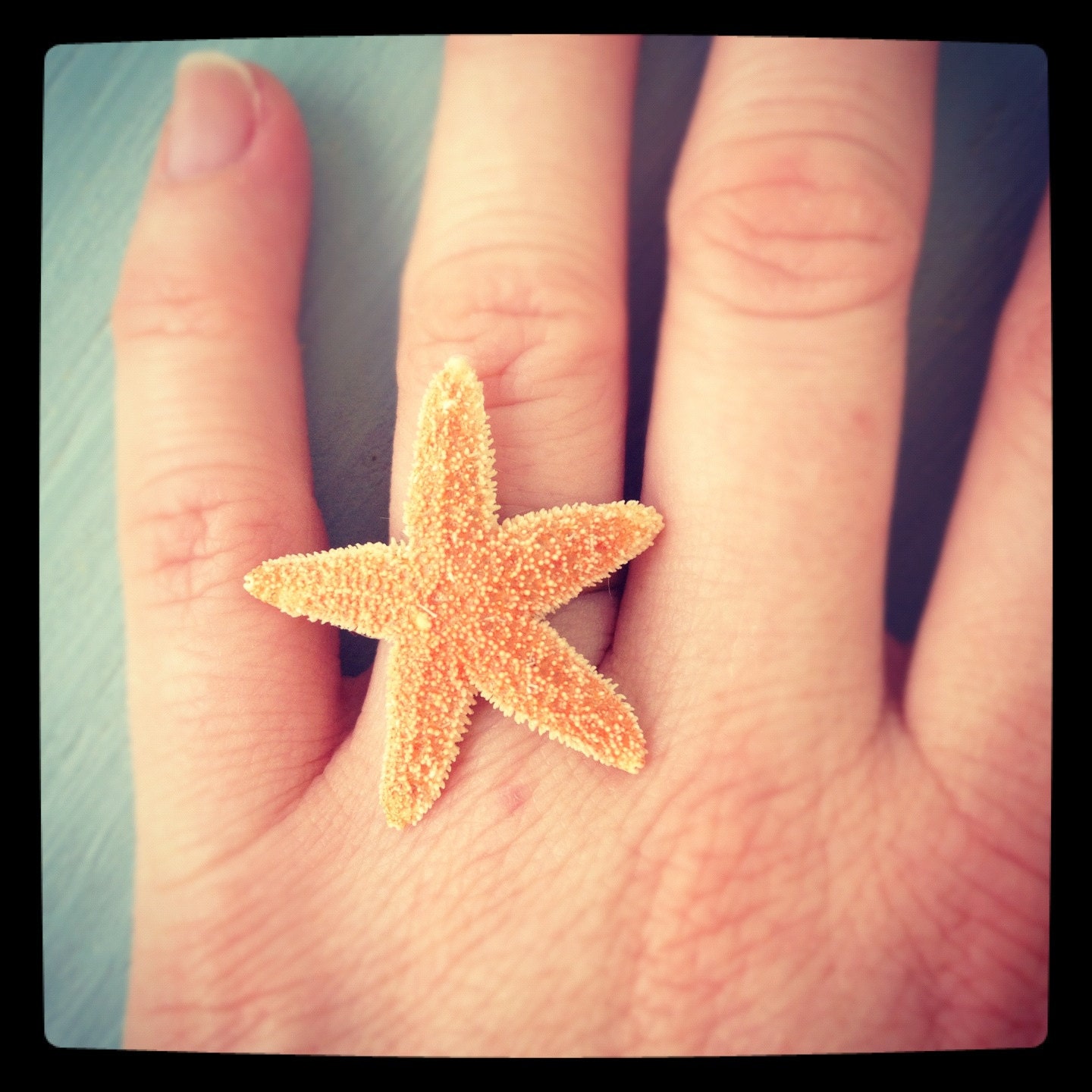 Sugar starfish ring