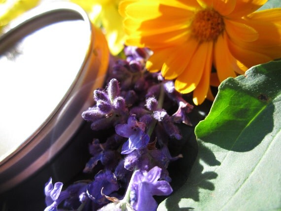 Herbal Salve- Magical Healing Salve- with Organic Herbs