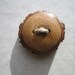 Small Wood Button- in Reclaimed Sassafras Wood- Knitting, Sewing, Craft Buttons
