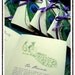 50 MELODIE Peacock Themed Petit Wedding Programs