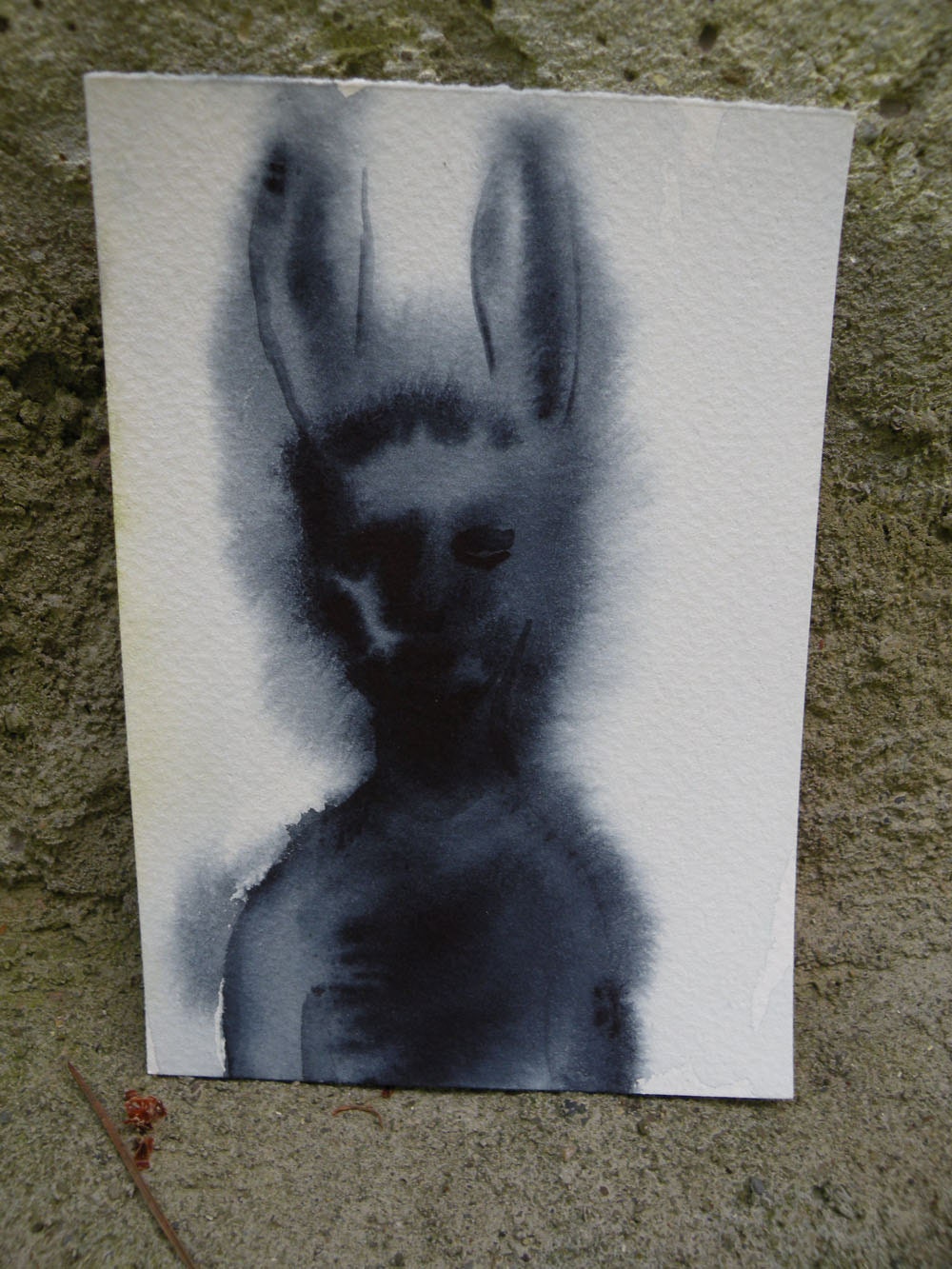She Bunny