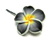 Frangipani Plumeria Black Yellow and White Bobby Pin Hair Pin