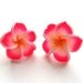 Frangipani Plumeria Neon Pink and Tangerine Hawaiian Flower Stud Earrings
