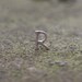 Alphabet letter stud earrings in Sterling Silver
