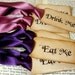 Eat Me and Drink Me Wonderland Gift Tags/Labels-SET of 10-Ribbon Choices Available