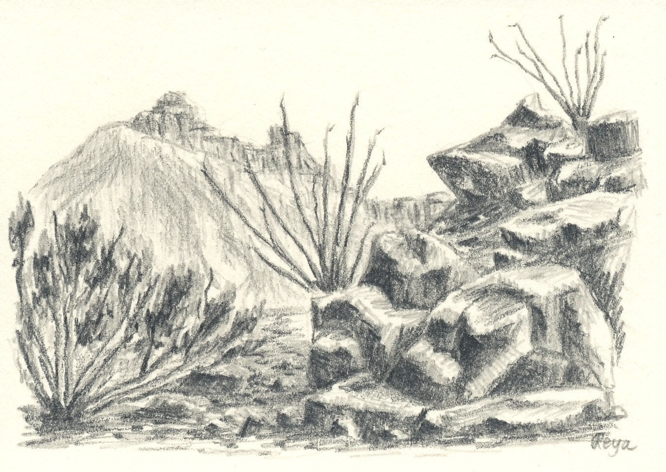 Arizona Desert Vista Original ACEO Pencil Drawing