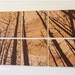 Large Forest Landscape Wall Art - Screen Print Set - Rustic Home Decor