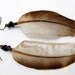Feather Earrings - Natural Brown and White Hen Feather Earrings, Cruelty Free Feathers - Little Gypsy