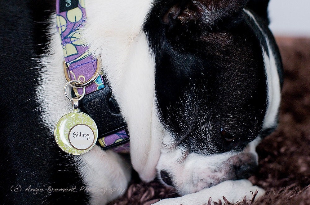 Garden Party Custom Pet ID Tag- Orange or Green