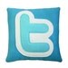 Twitter Icon Pillow