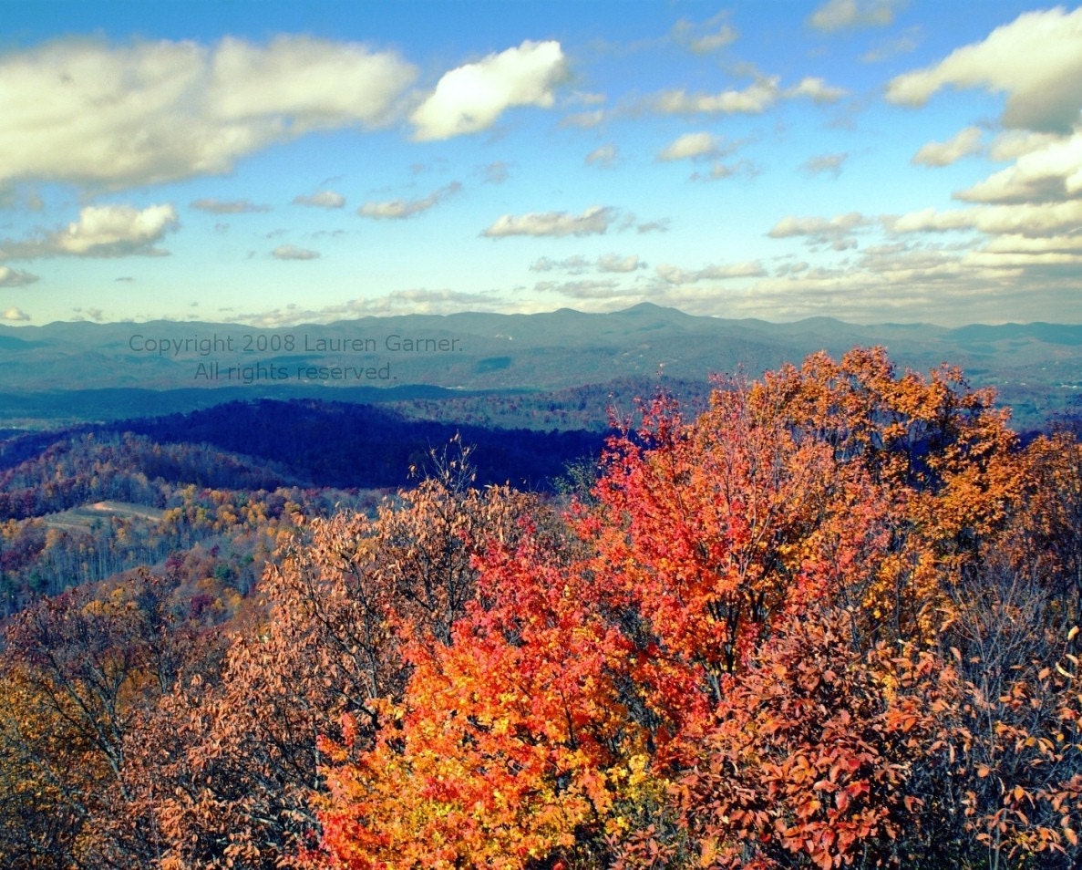 North Carolina Fall