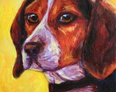 Sunny Beagle